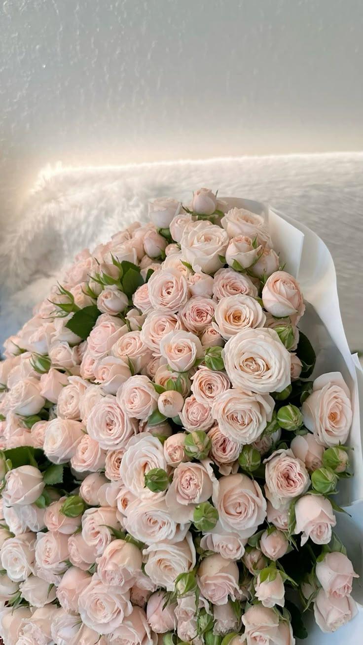 Eternal Embrace of Blooming Blush